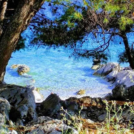 In Tribunj Near Bristak 公寓 Tribalj